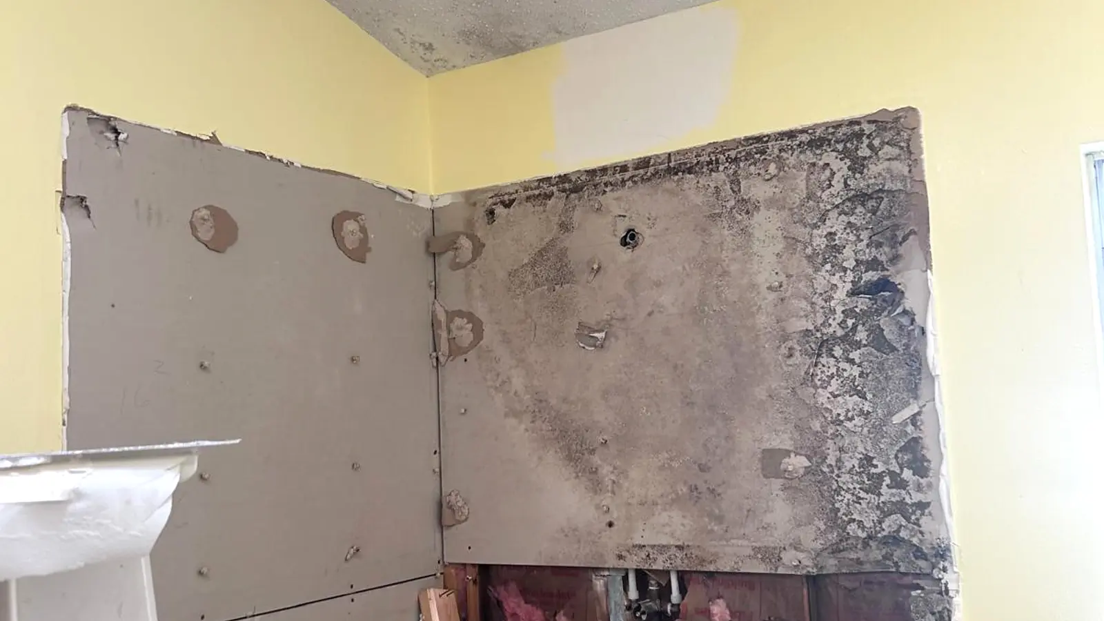 Mold and moisture damage